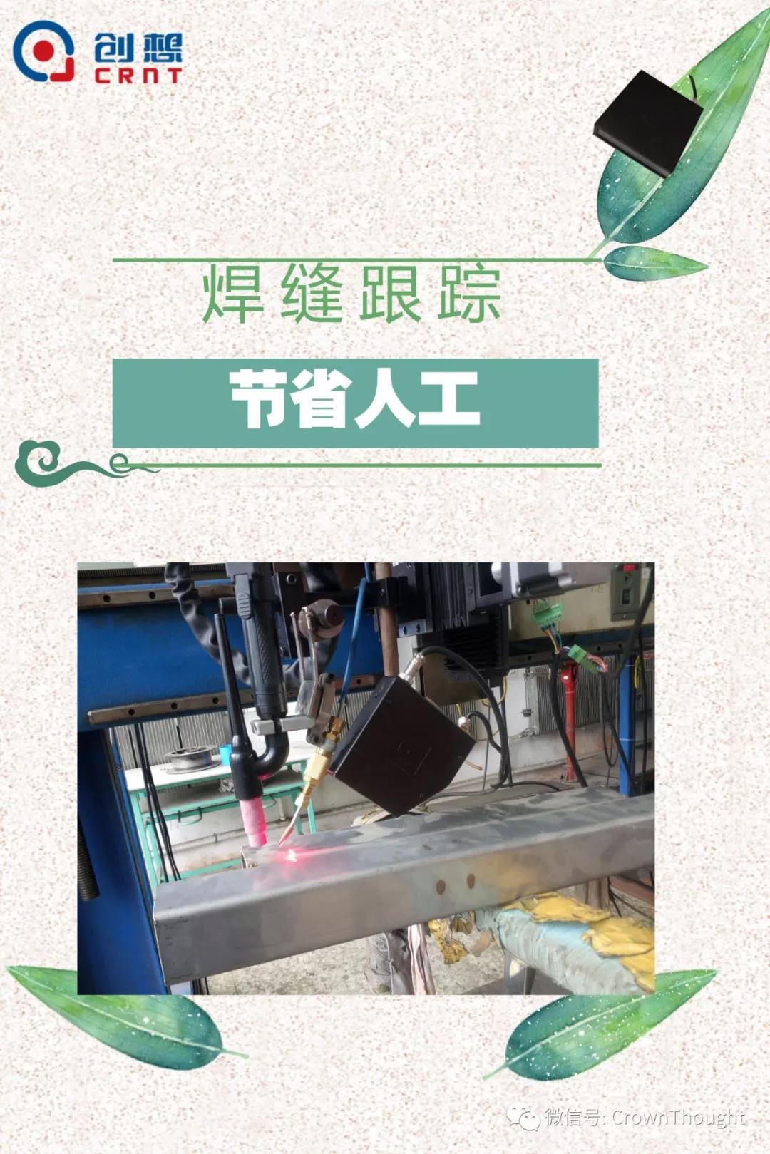 粽葉帶來的不僅僅是粽子，還有...